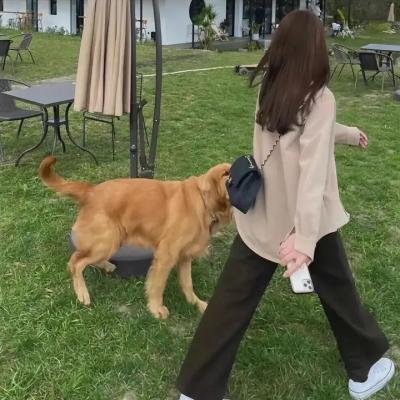 熊家餐馆第三季
